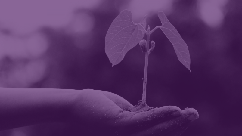sustainability_banner