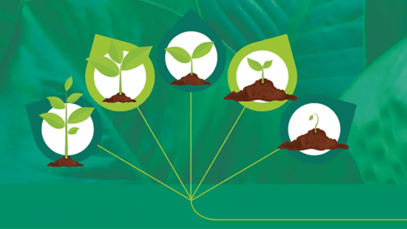 sustainability_infographic_blog_banner 1